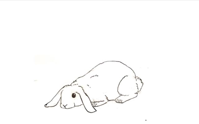 An Animation About a Rabbit