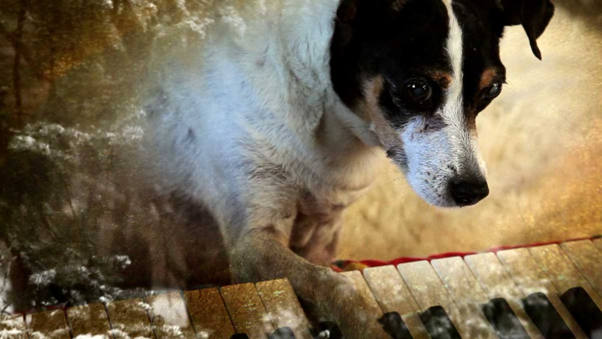 Heart of a Dog (Laurie Anderson)